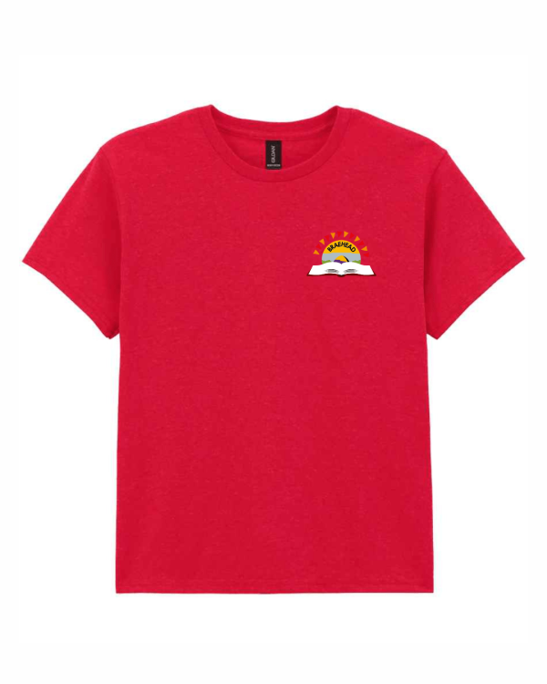 Heavy Cotton™ T-Shirt (with logo)