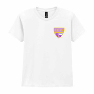 Heavy Cotton™ T-Shirt (with logo)
