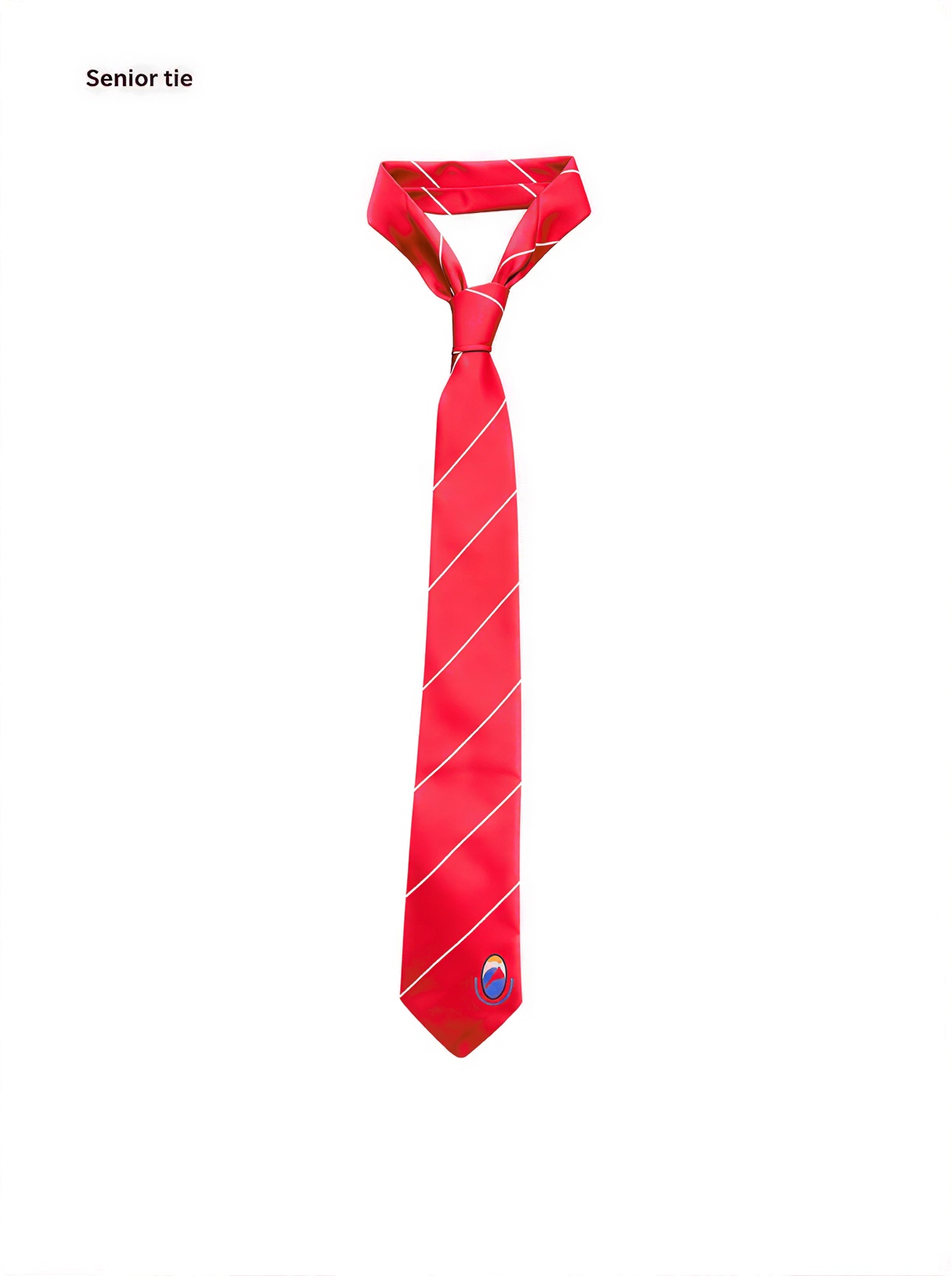 School Tie